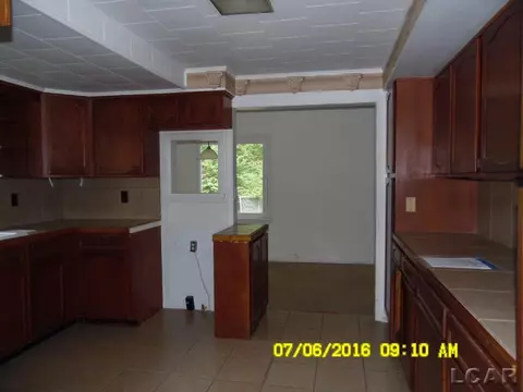 129 Burt, Tecumseh, MI 49286 photo 6