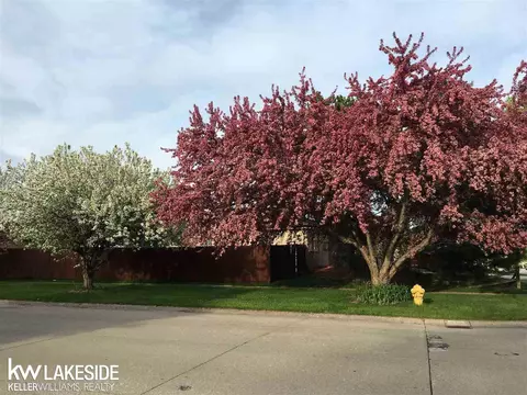 17693 Thomas, Macomb, MI 48044 photo 4