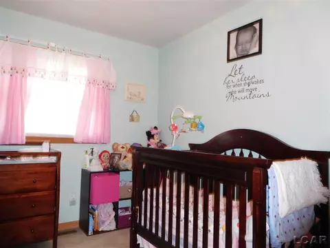 407 Elm, Britton, MI 49229 photo 10
