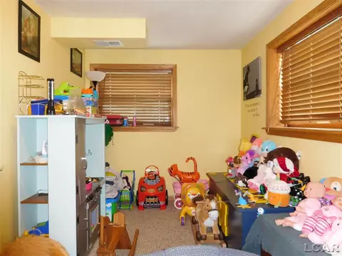 407 Elm, Britton, MI 49229 photo 7