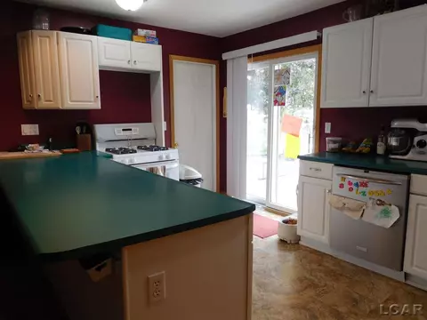 407 Elm, Britton, MI 49229 photo 3