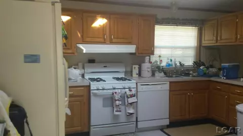 419 W Maple, Adrian, MI 49221 photo 7