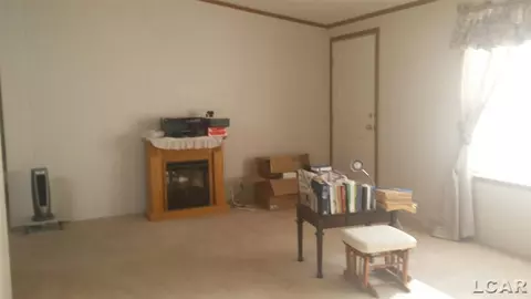 419 W Maple, Adrian, MI 49221 photo 8