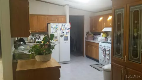 419 W Maple, Adrian, MI 49221 photo 6