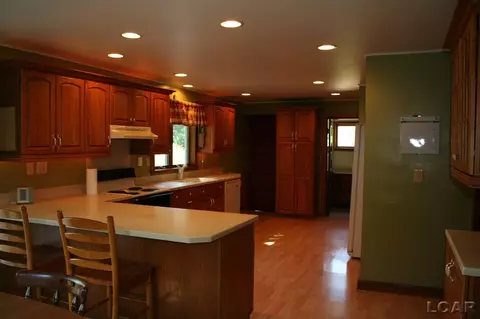 7348 Riga, Riga, MI 49276 photo 14