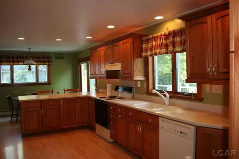 7348 Riga, Riga, MI 49276 photo 11