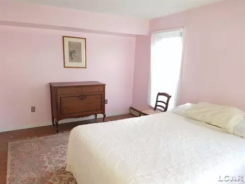 502 Adrian, Tecumseh, MI 49286 photo 27