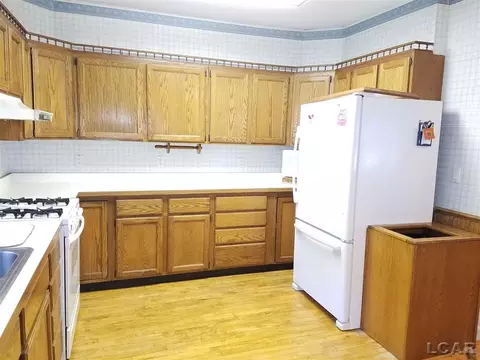 502 Adrian, Tecumseh, MI 49286 photo 14