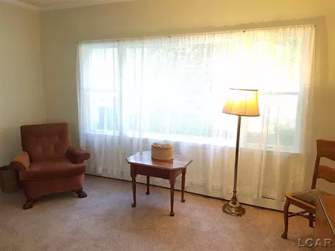 502 Adrian, Tecumseh, MI 49286 photo 17