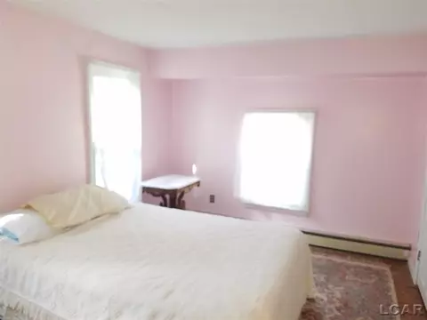 502 Adrian, Tecumseh, MI 49286 photo 28