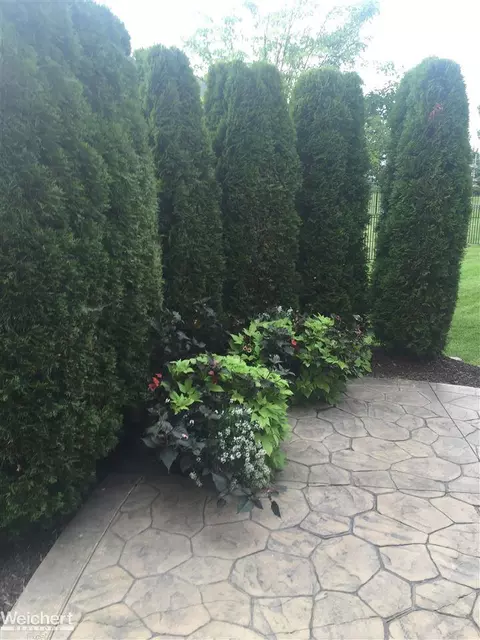 21157 Masters, Macomb, MI 48044 photo 14