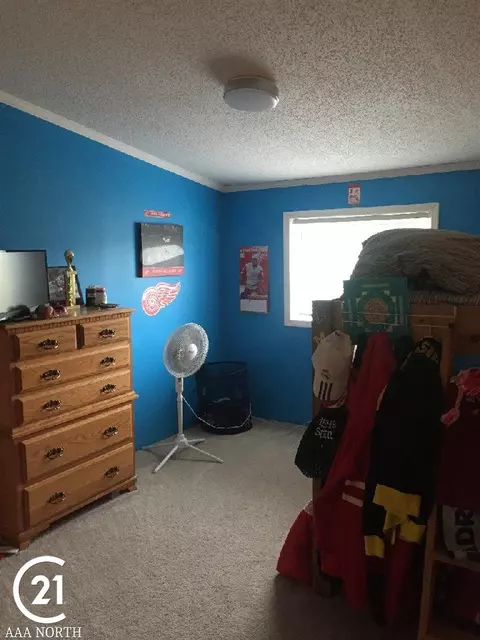 520 W W Ml, Capac, MI 48014 photo 11