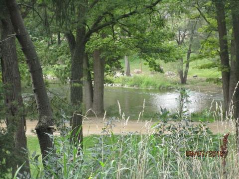 765 Getman, Owosso, MI 48867 photo 5