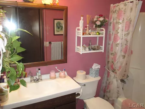 1240 Vine, Adrian, MI 49221 photo 7