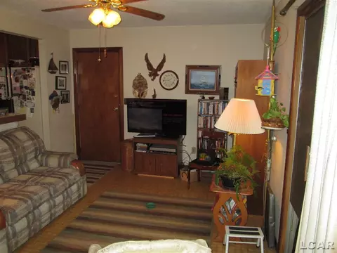 1240 Vine, Adrian, MI 49221 photo 11