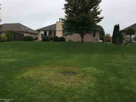 50317 Murray, Macomb, MI 48044 photo 10