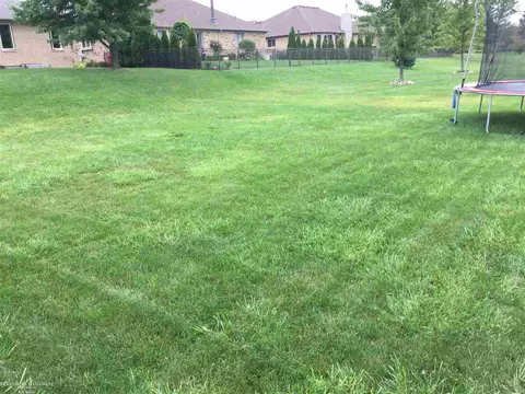 50317 Murray, Macomb, MI 48044 photo 9