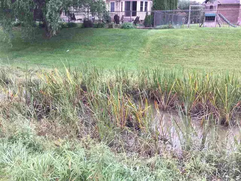 50317 Murray, Macomb, MI 48044 photo 7