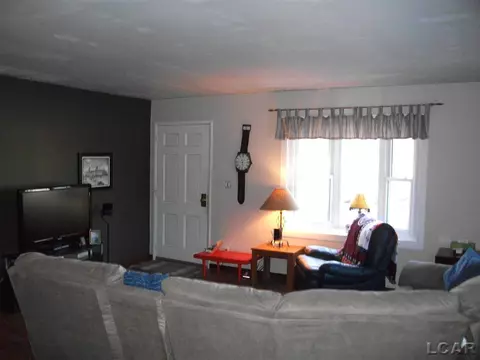 210 Pine, Tecumseh, MI 49286 photo 5