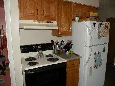 1108 Dingwall, Owosso, MI 48867 photo 5