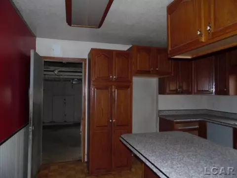 111 Spring, Hudson, MI 49247 photo 5