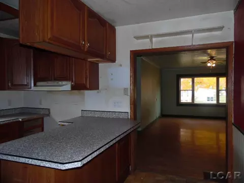 111 Spring, Hudson, MI 49247 photo 4