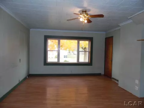 111 Spring, Hudson, MI 49247 photo 6