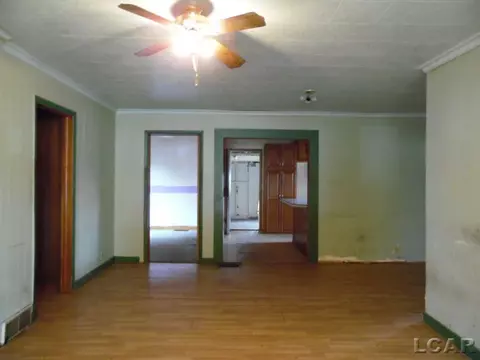 111 Spring, Hudson, MI 49247 photo 7