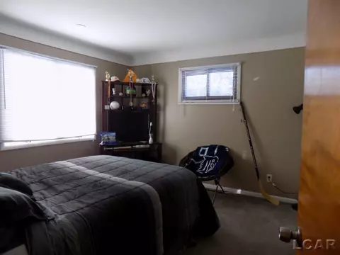 5925 Brooklyn, Jackson, MI 49201 photo 24