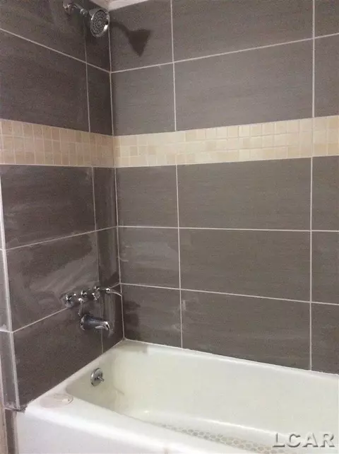 218 E Hunt, Adrian, MI 49221 photo 9
