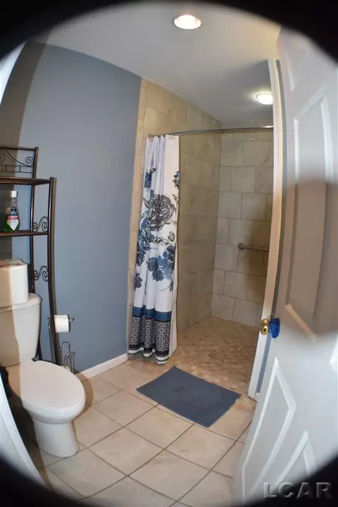 203 Brown, Tecumseh, MI 49286 photo 10