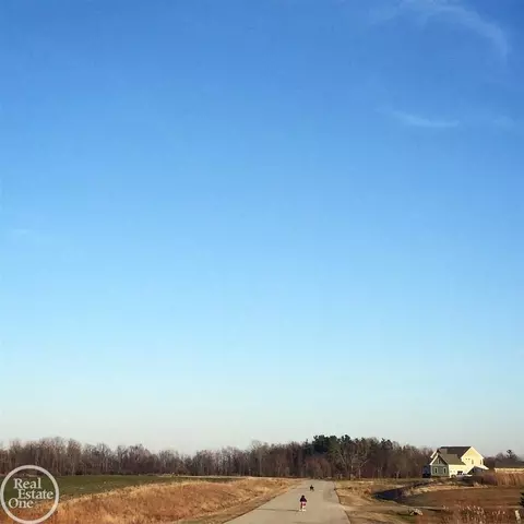 5831 Pheasant, Jeddo, MI 48032 photo 48
