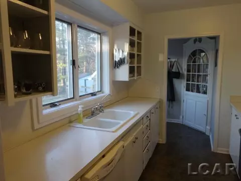 607 W Logan, Tecumseh, MI 49286 photo 15