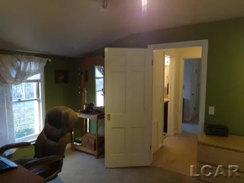 607 W Logan, Tecumseh, MI 49286 photo 36