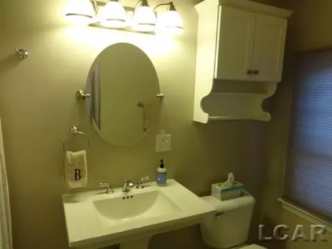 607 W Logan, Tecumseh, MI 49286 photo 24