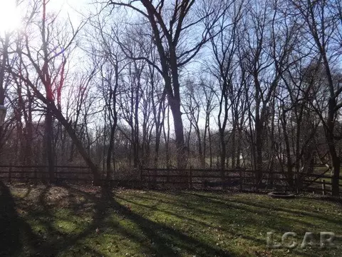 607 W Logan, Tecumseh, MI 49286 photo 44