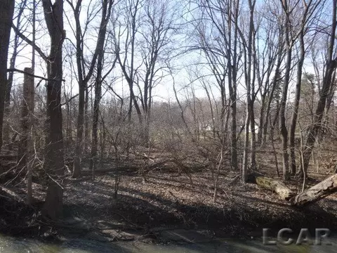 607 W Logan, Tecumseh, MI 49286 photo 3