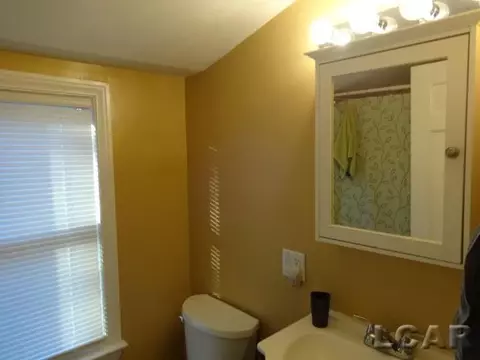 607 W Logan, Tecumseh, MI 49286 photo 37