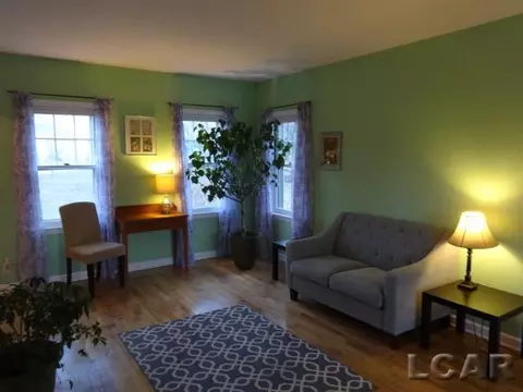 607 W Logan, Tecumseh, MI 49286 photo 9