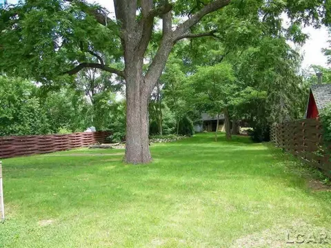 708 N Evans, Tecumseh, MI 49286 photo 23