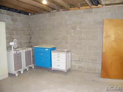708 N Evans, Tecumseh, MI 49286 photo 18