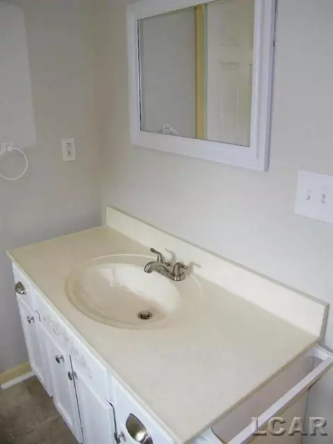 708 N Evans, Tecumseh, MI 49286 photo 33