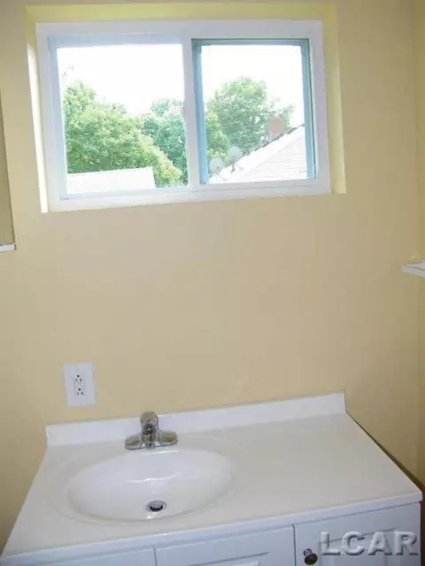 708 N Evans, Tecumseh, MI 49286 photo 30