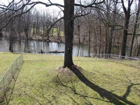 10200 Lehring, Byron, MI 48418 photo 2