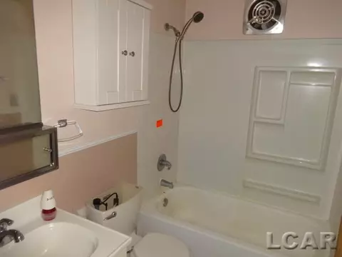 802 S Occidental, Tecumseh, MI 49286 photo 23