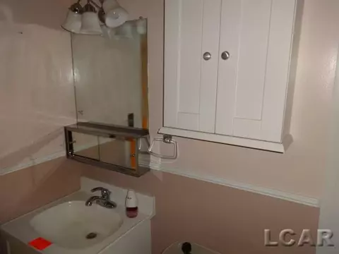 802 S Occidental, Tecumseh, MI 49286 photo 24
