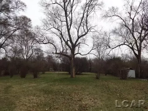 802 S Occidental, Tecumseh, MI 49286 photo 27