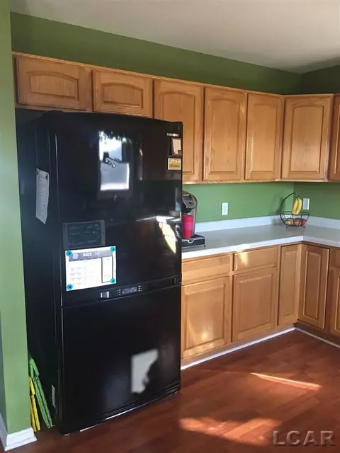 3239 E Northmor, Adrian, MI 49221 photo 5