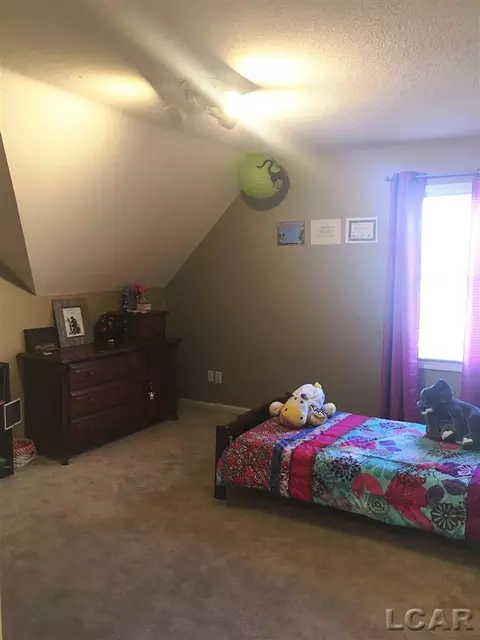3239 E Northmor, Adrian, MI 49221 photo 18