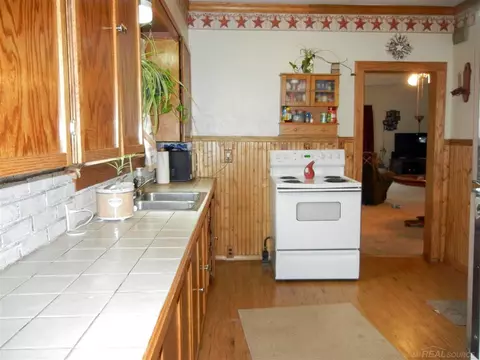 508 E Williams, Owosso, MI 48867 photo 3